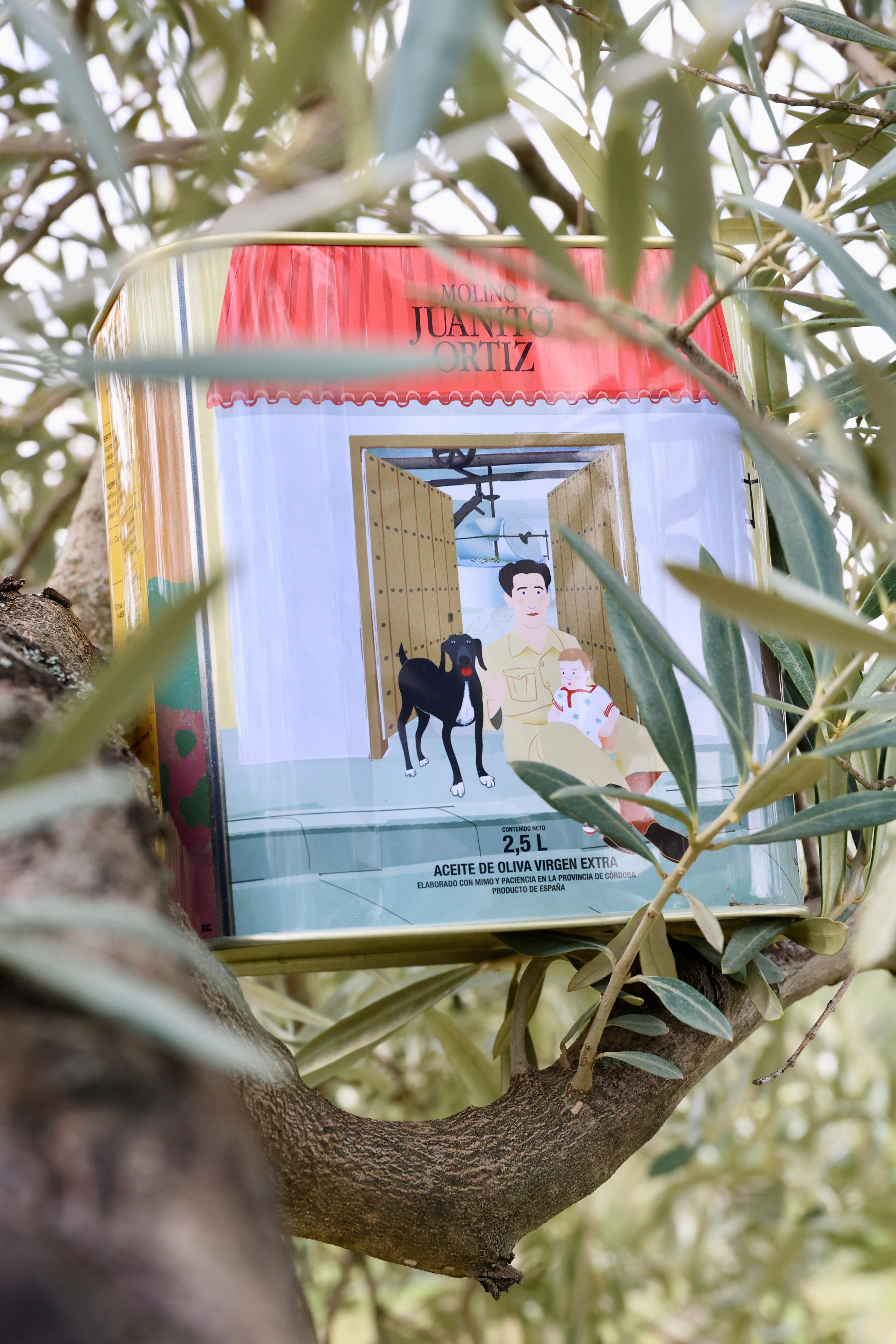 Aceite de Oliva Virgen Extra 2,5 L – Molino Juanito Ortiz, Cosecha Temprana